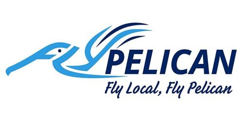 FlyPelican